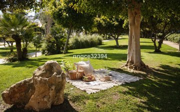 Property slide 12