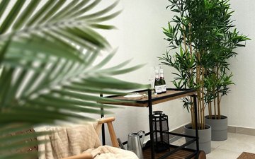 Property slide 36