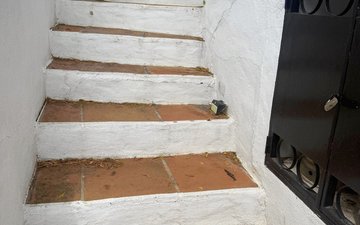 Property slide 37