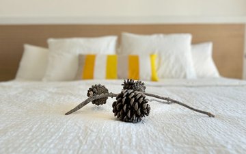 Property slide 25
