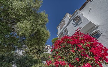 Property slide 36