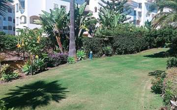 Property slide 25