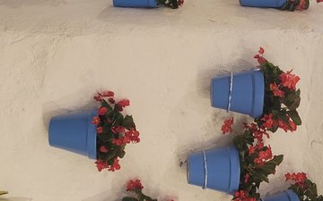 Property slide 28
