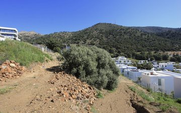 Property slide 17