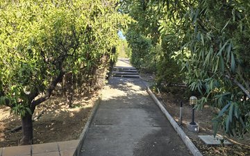 Property slide 5