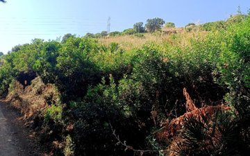 Property slide 1