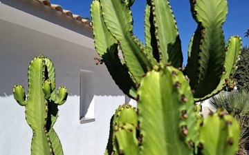 Property slide 61