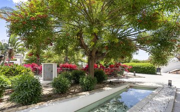 Property slide 46