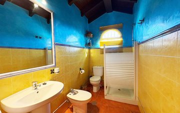 Property slide 29