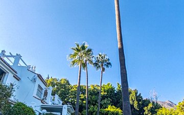 Property slide 32