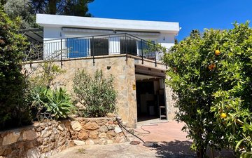 Property slide 43
