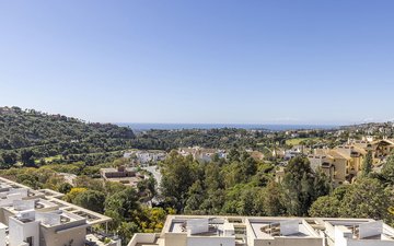 Property slide 29