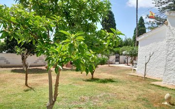 Property slide 30