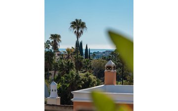 Property slide 31