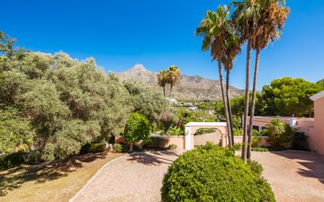 Property slide 43
