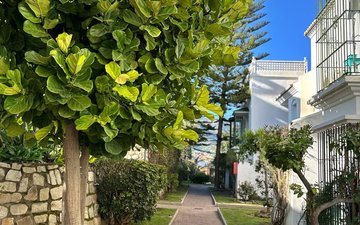 Property slide 24