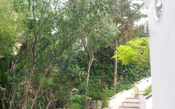 Property slide 13