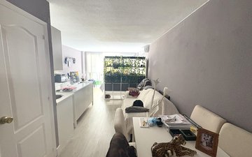 Property slide 11