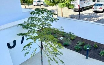 Property slide 33