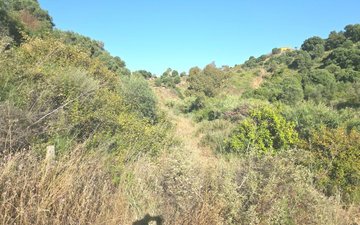 Property slide 47