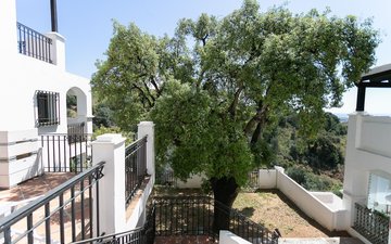 Property slide 51