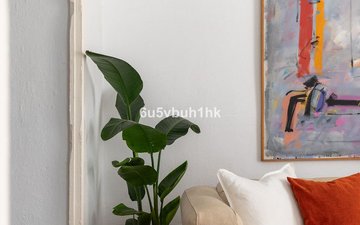Property slide 11