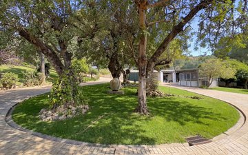 Property slide 35