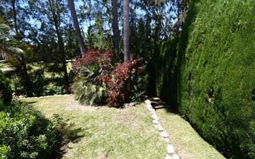 Property slide 29