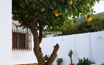 Property slide 48