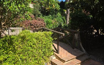 Property slide 24