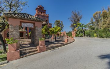 Property slide 31