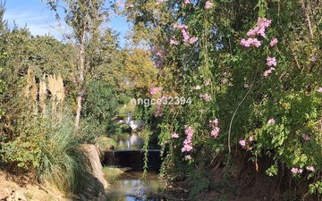 Property slide 20