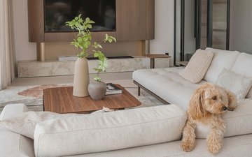 Property slide 10