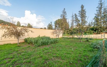 Property slide 47