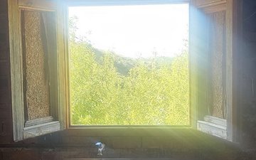 Property slide 11