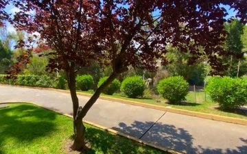 Property slide 13