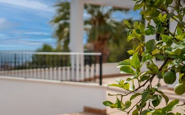 Property slide 37