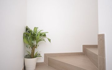 Property slide 25