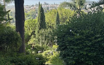Property slide 32