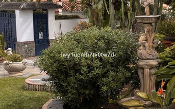 Property slide 19
