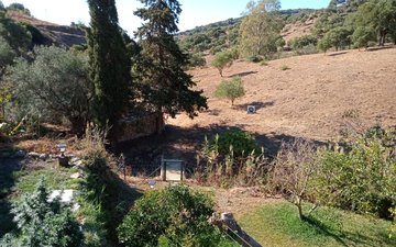 Property slide 11