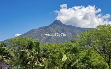 Property slide 19
