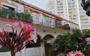 Property slide 26