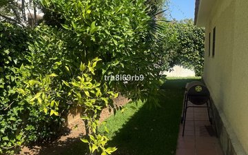 Property slide 24