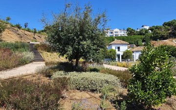 Property slide 36