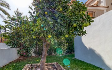 Property slide 30