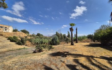 Property slide 61