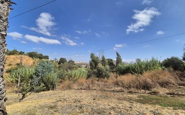 Property slide 75