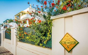 Property slide 4