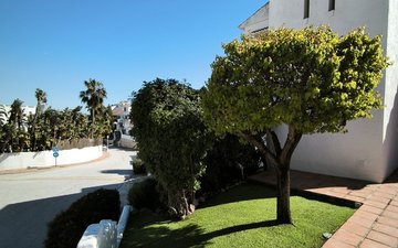 Property slide 3